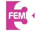 Fem 3